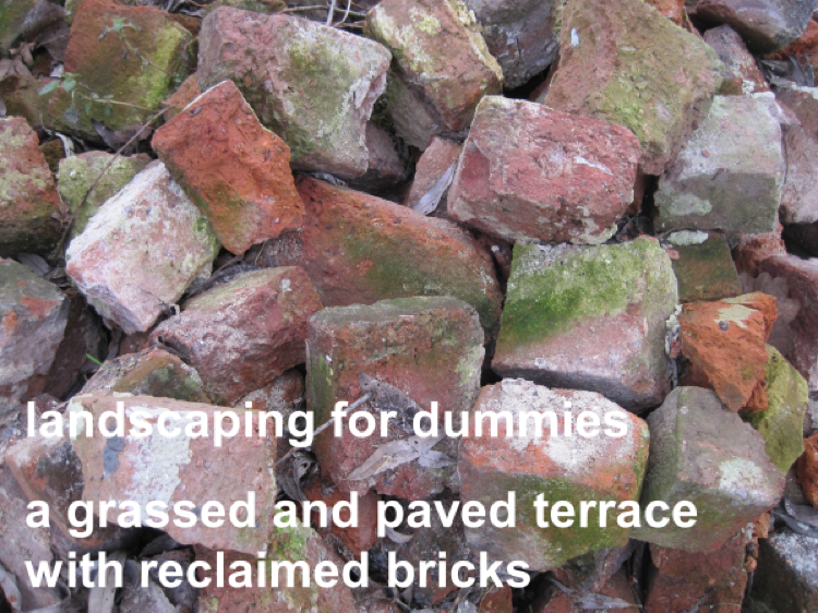 Landscaping for dummies